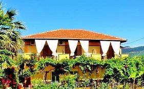 Barbara Studios
